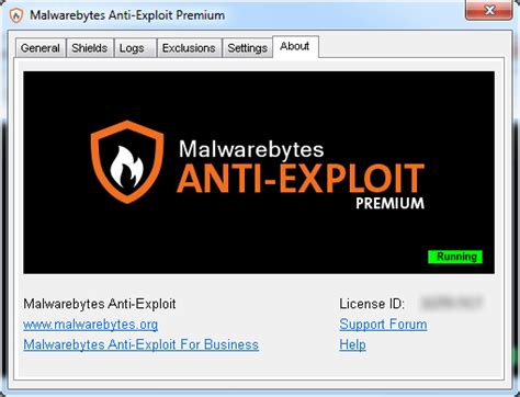 sxploit|exploit po polsku.